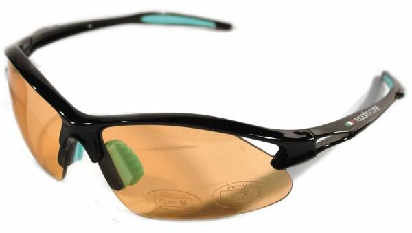 Picture of GLASSES BIANCHI AQUILA 2 BLACK